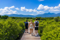 Salakpetch Mangrove
