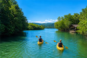 Salakpetch Mangrove