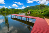 Salakpetch Mangrove