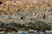 Koh Khlum Koh Khlum