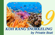 Koh Rang Snorkeling by Private Boat