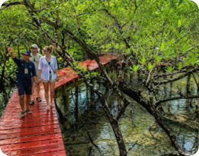 Koh Chang Discovery, private Day Trip