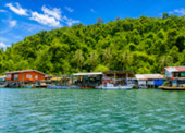 Salak Khok Mangrove