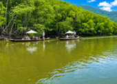 Salak Khok Mangrove
