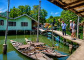 Salak Khok Mangrove