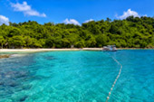Koh Wai