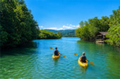 Salak Phet Mangrove