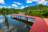 Salak Phet Mangrove