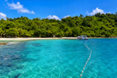 Koh Wai