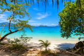 Koh Wai