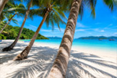 Koh Wai