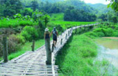 Mae Hong Son + Pai + Baan Rak Thai 3 Days 2 Nights