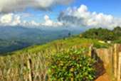Hills Tour: 4 Mountains