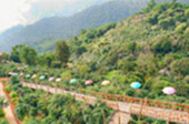 Hills Tour: 4 Mountains