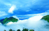 Doi Tung and Royal Villa Half Day Tour