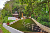 Doi Tung and Royal Villa Half Day Tour