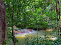 Ao Luek: Laem Sak Tour