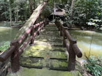 Ao Luek: Laem Sak Tour