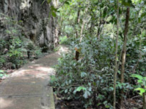 Ao Luek: Laem Sak Tour