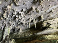 Ao Luek: Laem Sak Tour