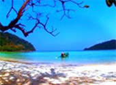 Surin Archipelago One Day Tour