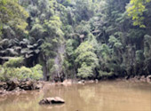 Day Tour: Unseen Ao Luek