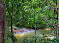 Day Tour: Unseen Ao Luek