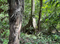 Day Tour: Unseen Ao Luek