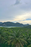 Day Tour: Unseen Ao Luek