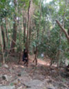 The Maverick: Tarutao Island Adventure 2 Days, 1 Night