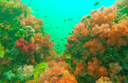 From Lipe to Phuket 6 Days 5 Nights