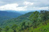 Longing for Mae Hong Son: 3 Days, 2 Nights Adventure