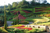 North Travel Route and Mae Hongson. 5 Days 4 Nights