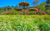 North Travel Route and Mae Hongson. 5 Days 4 Nights