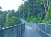 Upper First Pai: A 4-Day, 3-Night Chiang Mai and Pai Escape