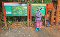 Discover the Beauty of Doi Inthanon National Park