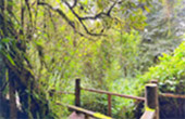 Discover the Beauty of Doi Inthanon National Park