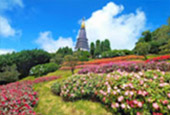 Discover the Beauty of Doi Inthanon National Park