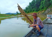 Discover the Breathtaking Beauty of Khao Sok National Park