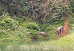 Discover the Breathtaking Beauty of Khao Sok National Park Discover the Breathtaking Beauty of Khao Sok National Park