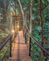 Discover the Breathtaking Beauty of Khao Sok National Park
