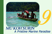 Mu Koh Surin National Park: A Pristine Marine Paradise