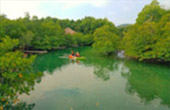 Koh Payam 3 Days 2 Nights