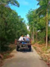 Koh Payam 3 Days 2 Nights