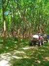 Koh Payam 3 Days 2 Nights