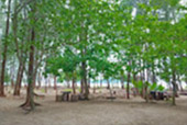 Koh Payam 3 Days 2 Nights