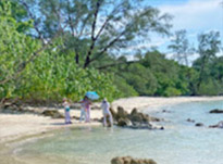 Koh Payam 3 Days 2 Nights