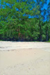 Koh Payam 3 Days 2 Nights