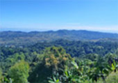 Laconic: Khao Kho - Nam Nao