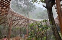 Yachting Day to Racha and Coral Islands